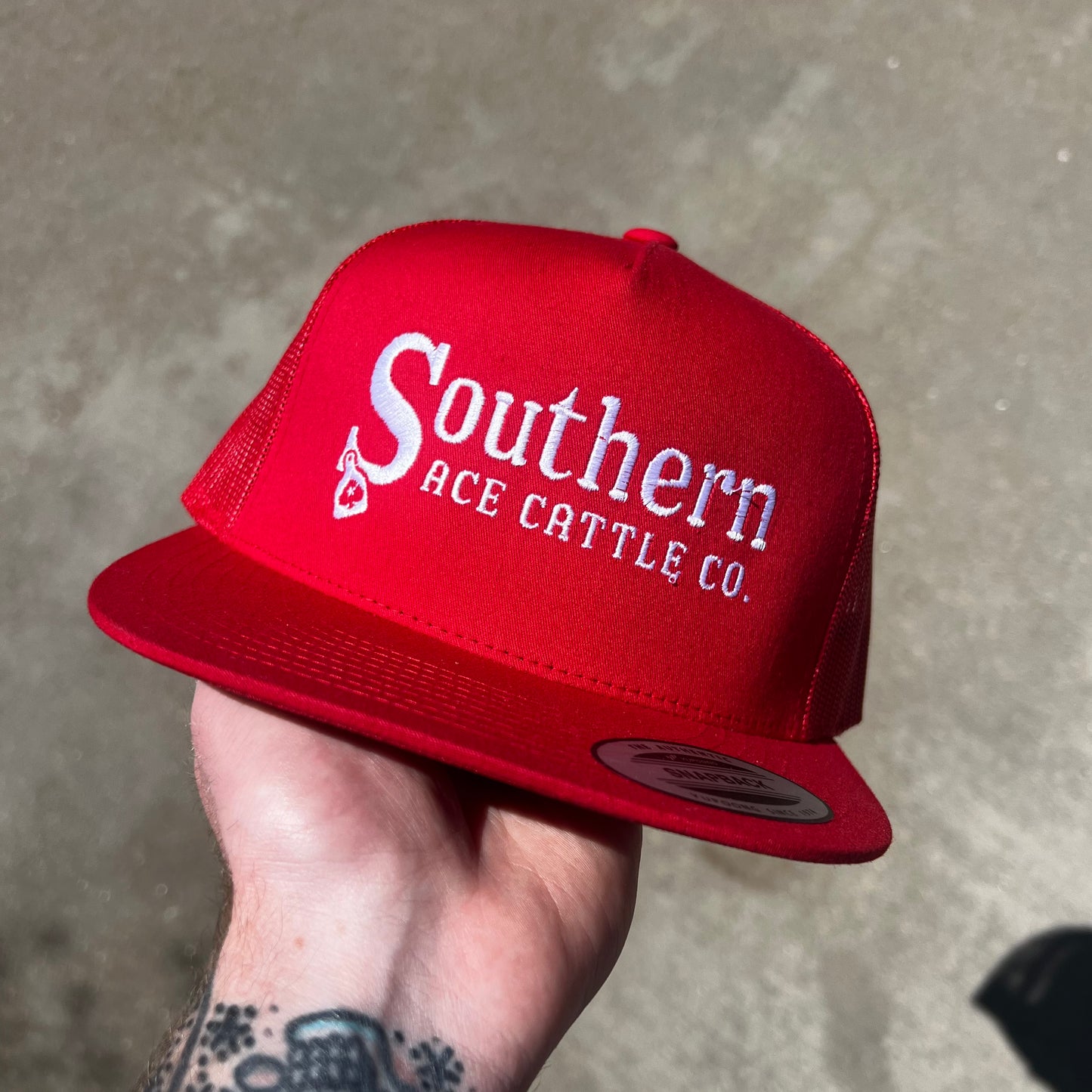 The "Southern Cattle"