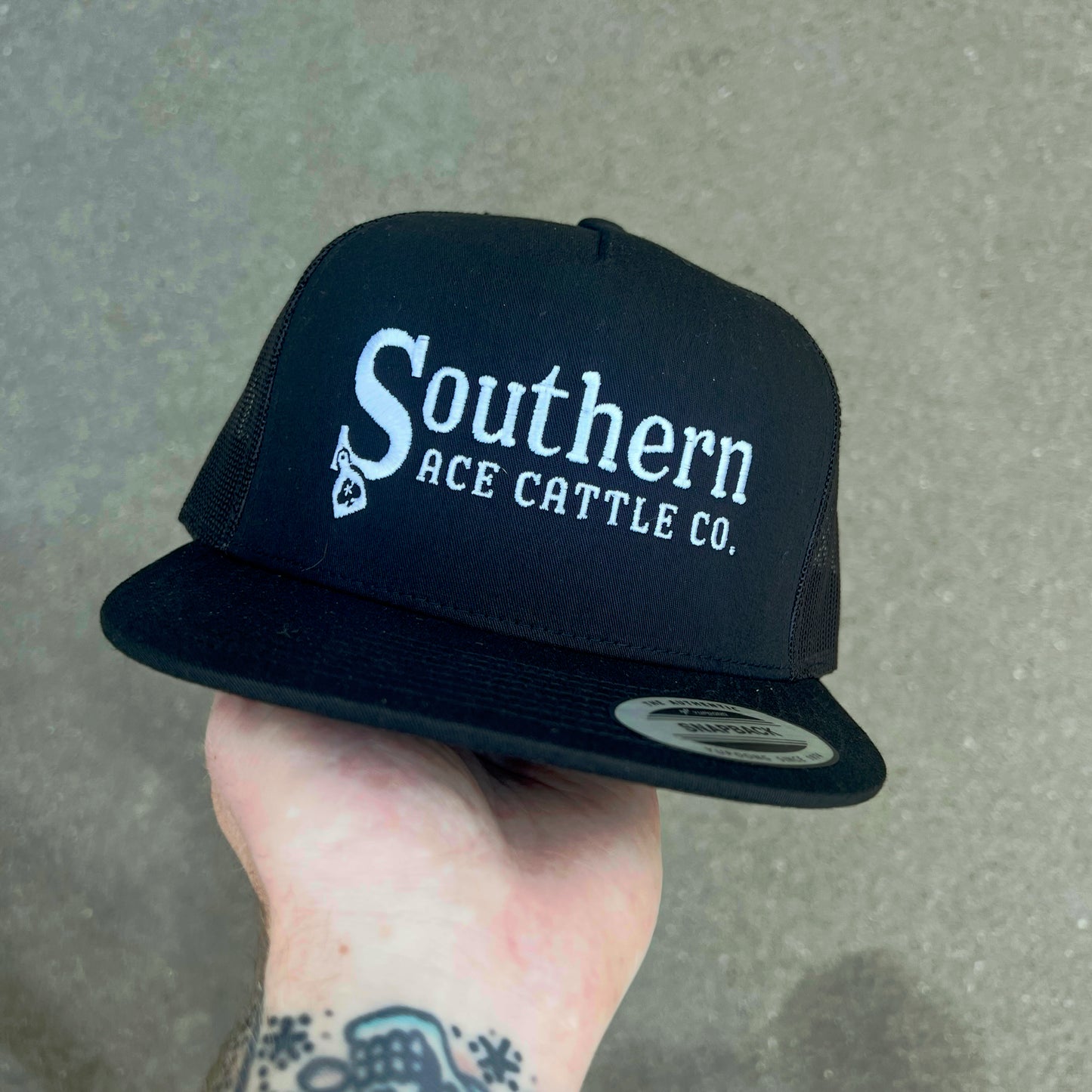 The “Southern Cattle”